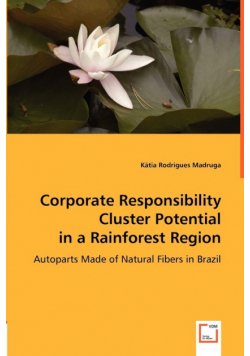Corporate Responsibility Cluster Potential in a Rainforest Region