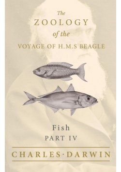Fish - Part IV -  The Zoology of the Voyage of H.M.S Beagle ; Under the Command of Captain Fitzroy - During the Years 1832 to 1836