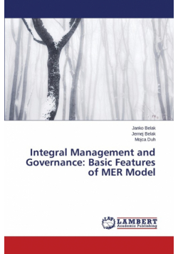 Integral Management and Governance