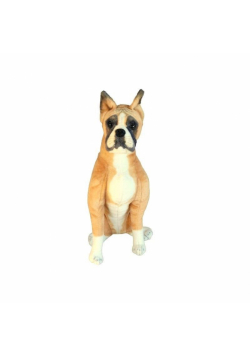 Boxer siedzący 64cm