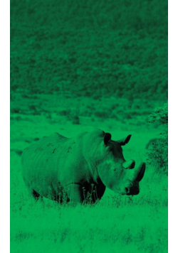 Alive! white rhino - Green duotone - Photo Art Notebooks (5 x 8 series)