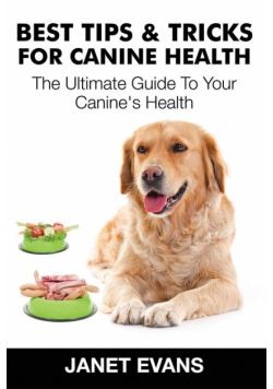 Best Tips & Tricks for Canine Health