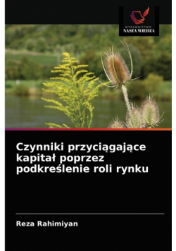 Czynniki przyciągające kapitał poprzez podkreślenie roli rynku