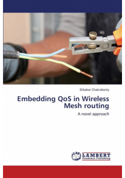 Embedding QoS in Wireless Mesh routing