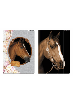 Teczka z gumką A4 Horses