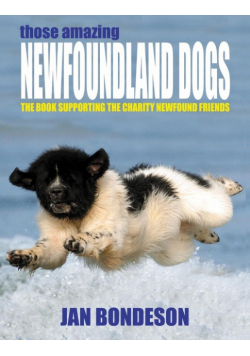 Those Amazing Newfoundland Dogs