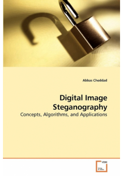 Digital Image Steganography