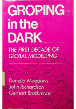 Groping in the Dark The First Decade of Global Modelling