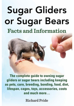 Sugar Gliders or Sugar Bears