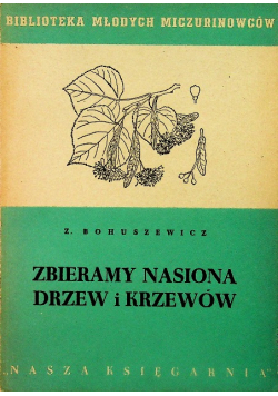 Zbieramy nasiona drzew i krzewów