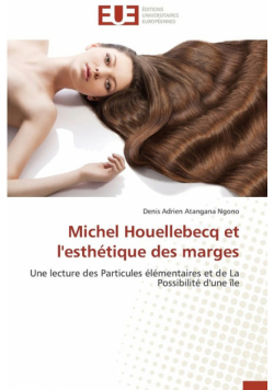 Michel houellebecq et l'esthétique des marges