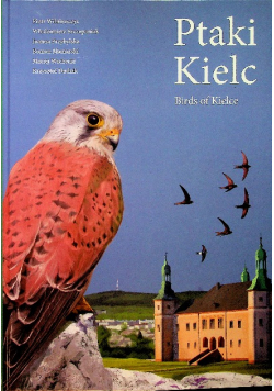 Ptaki Kielc