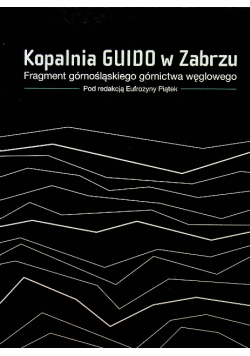 Kopalnia Guido w Zabrzu