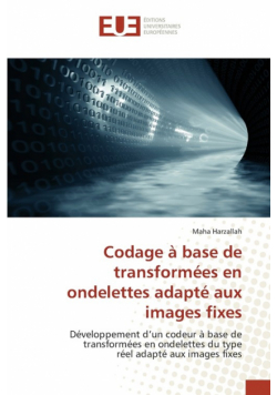 Codage à base de transformées en ondelettes adapté aux images fixes