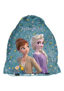 Worek na buty Frozen DF23XX-712 PASO