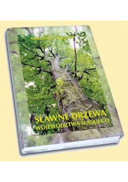 Sławne drzewa województwa śląskiego