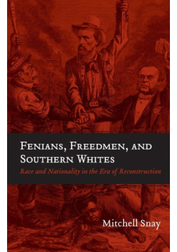 Fenians, Freedmen, and Southern Whites