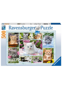 Puzzle 500 Kociaki w koszykach