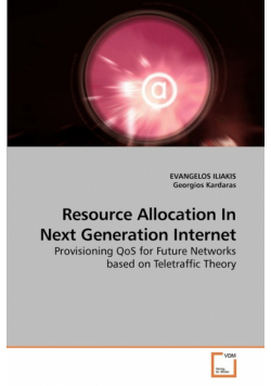 Resource Allocation In Next Generation Internet
