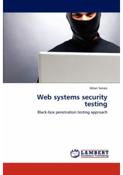 Web systems security testing