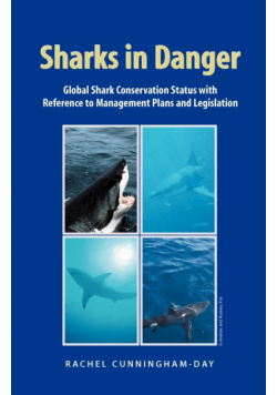 Sharks in Danger