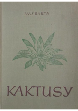 Kaktusy