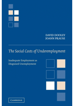 The Social Costs of Underemployment