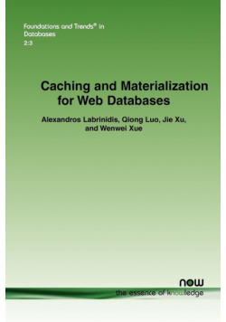 Caching and Materialization for Web Databases