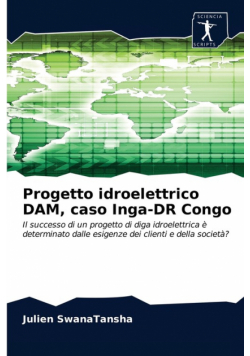 Progetto idroelettrico DAM, caso Inga-DR Congo