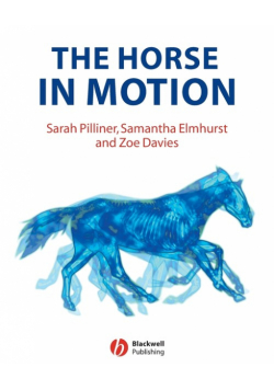 Horse Motion