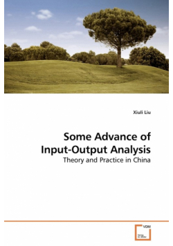 Some Advance of Input-Output Analysis