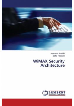 WiMAX Security Architecture