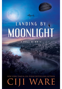 Landing by Moonlight