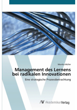 Management des Lernens bei radikalen Innovationen