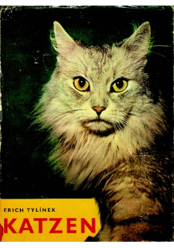 Katzen