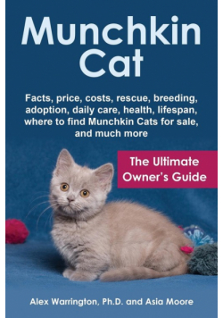 Munchkin Cat
