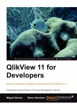 Qlikview 11 Developer's Guide