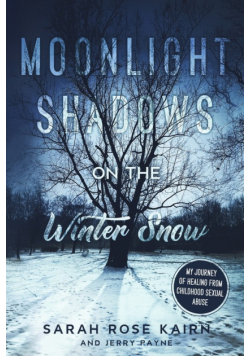 Moonlight Shadows on the Winter Snow