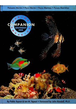 Marine aquarium companion