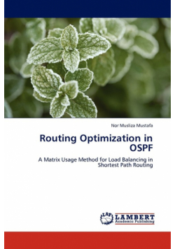 Routing Optimization in OSPF