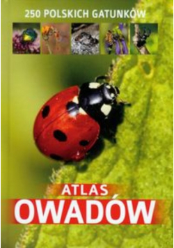 Atlas owadów 250 polskich gatunków