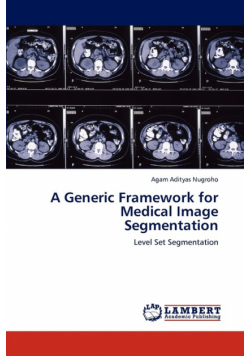 A Generic Framework for Medical Image Segmentation