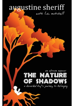 The Nature of Shadows