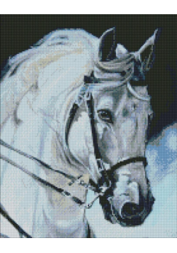 Diamentowa mozaika - Dumny koń 40x50cm
