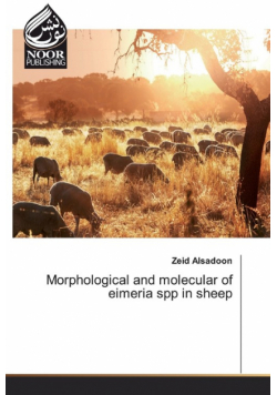 Morphological and molecular of eimeria spp in sheep