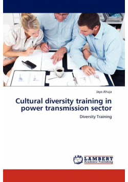 Cultural Diversity Training in Power Transmission Sector