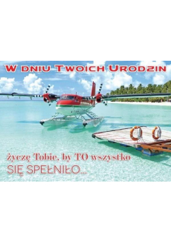 Karnet B6 3DV-154 Urodziny samolot