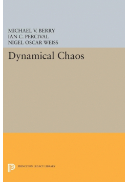 Dynamical Chaos