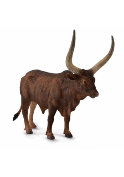 Byk Ankole-Watusi