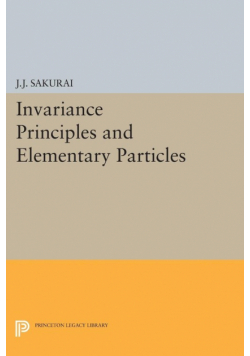 Invariance Principles and Elementary Particles